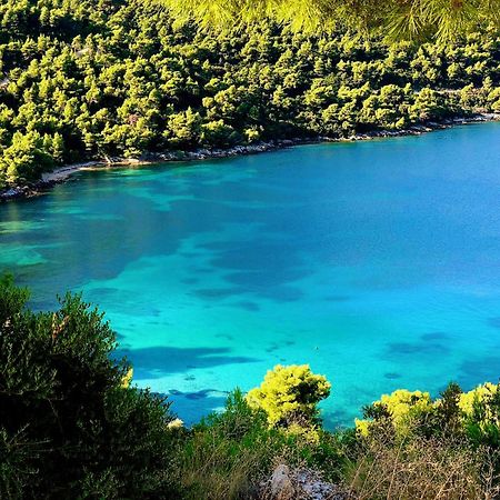 Villa Dora Zuljana Peljesac Croatia Экстерьер фото